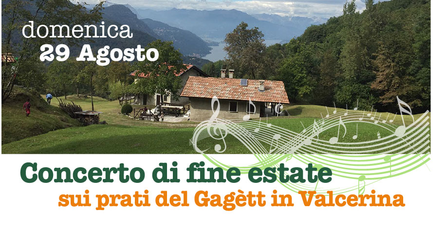 _Banner_Concerto2021